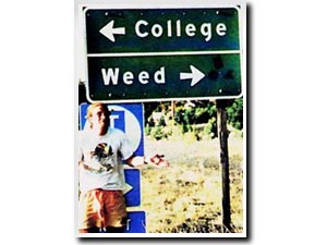 college weed